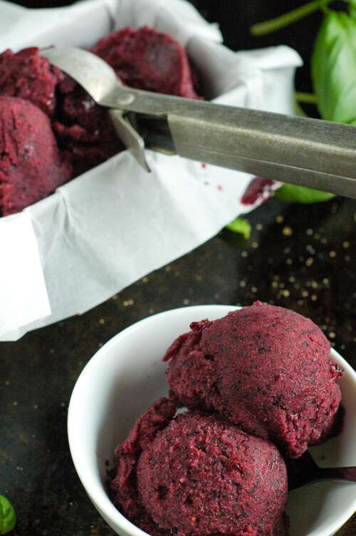 Blueberry Basil Rum Sorbet: Light and refreshing with lovely complex flavors. Always impresses! | www.TheAdventureBite.com