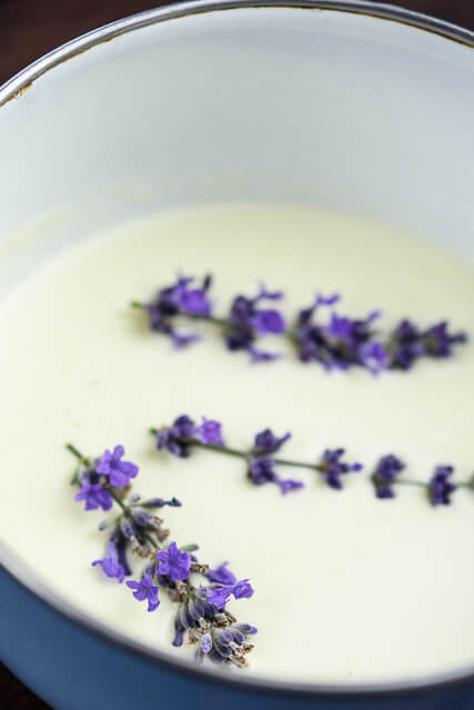 lavender-cream