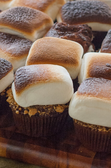 S'more Cupcakes--my new favorite chocolate cupcake recipe dipped in chocolate ganache and graham cracker crumbs then topped with a toasty marshmallow. Pure bliss!