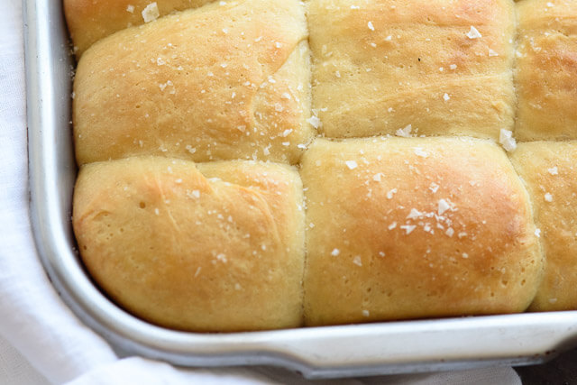 I've tried dozens of recipes and these soft honey dinner rolls are the best ones I've ever made! We sweeten them with honey and top with honey butter & salt for the perfect finish